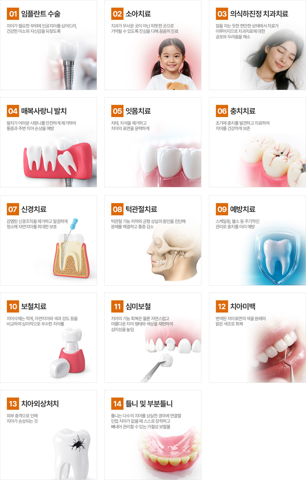 진료과목